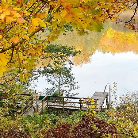 Appartamento Altes Backhaus Haselberg Esterno foto