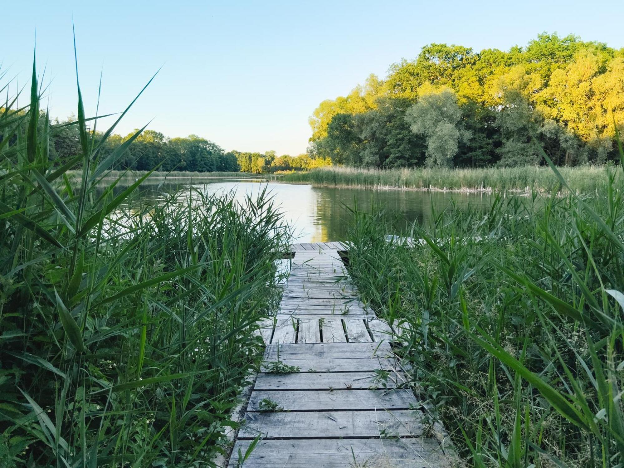 Appartamento Altes Backhaus Haselberg Esterno foto