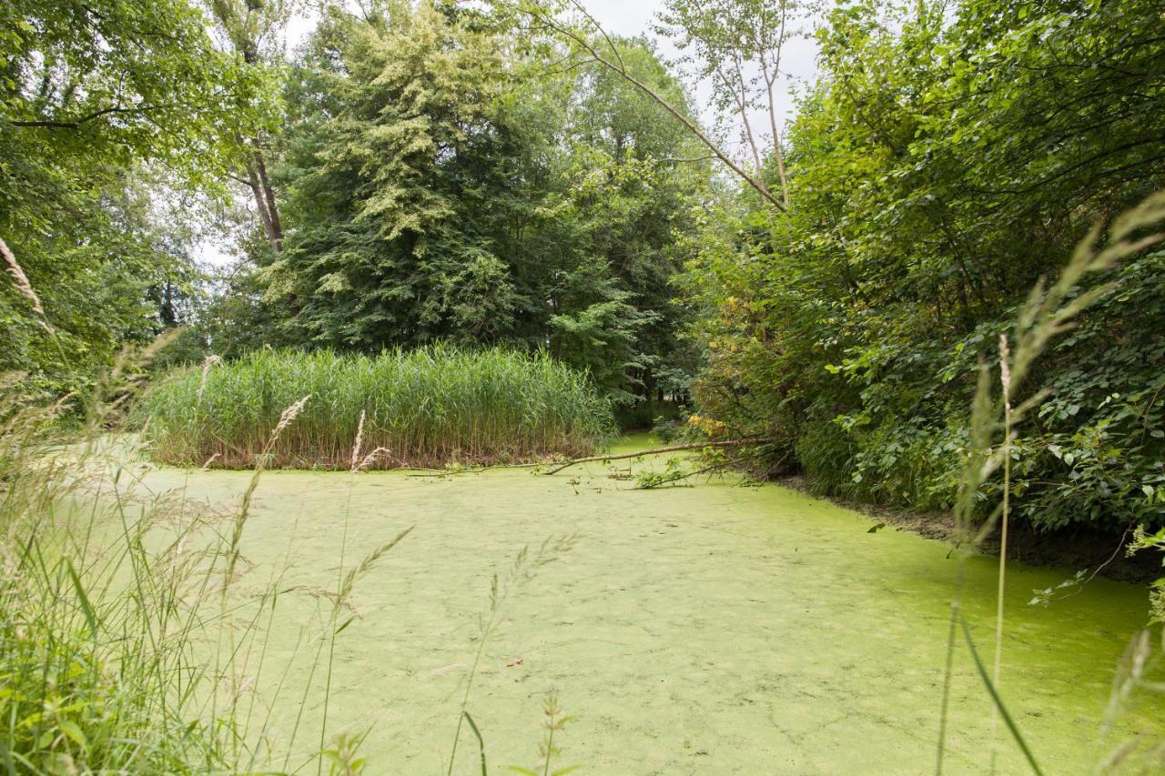 Appartamento Altes Backhaus Haselberg Esterno foto